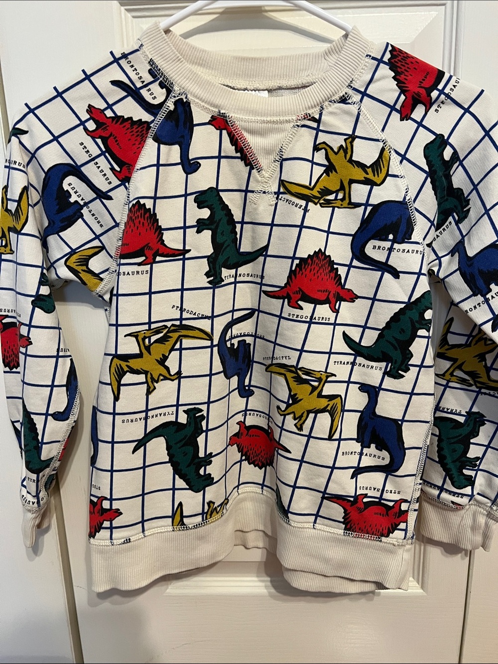 Hanna Andersson Cream Grid Sweatshirt with Multicolor Dinosaur Motif